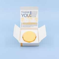 Citrus Splash Conditioner Bar - Beach Bar