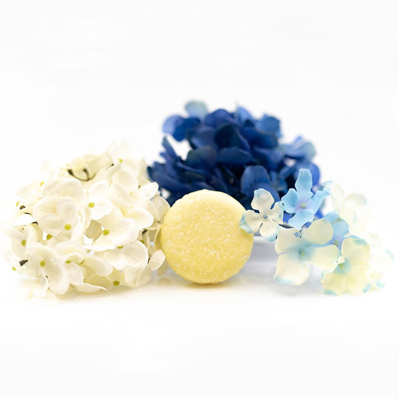 Pina Colada Shampoo Bar - Hydrate